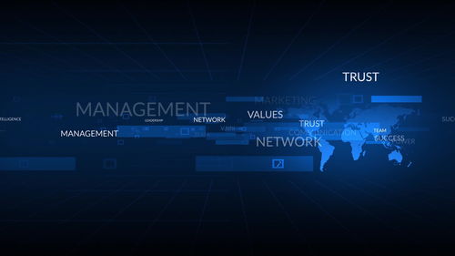 不符合重點(diǎn)軟件企業(yè)標(biāo)準(zhǔn)，網(wǎng)絡(luò)技術(shù)服務(wù)企業(yè)稅收優(yōu)惠力度下降的挑戰(zhàn)與應(yīng)對(duì)